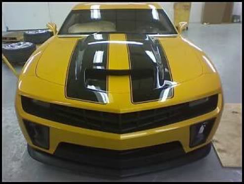 Name:  Bumblebee2.jpg
Views: 4
Size:  26.3 KB