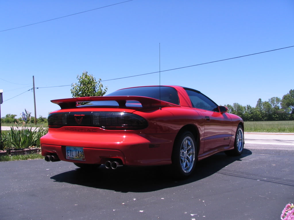 Name:  TransAm007.jpg
Views: 12
Size:  107.6 KB